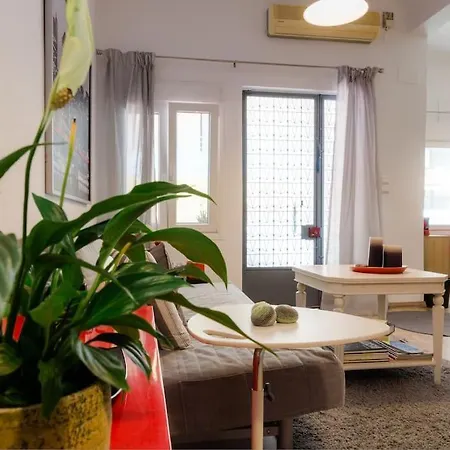 Apartment Renovated, Open And Functional Old House *
